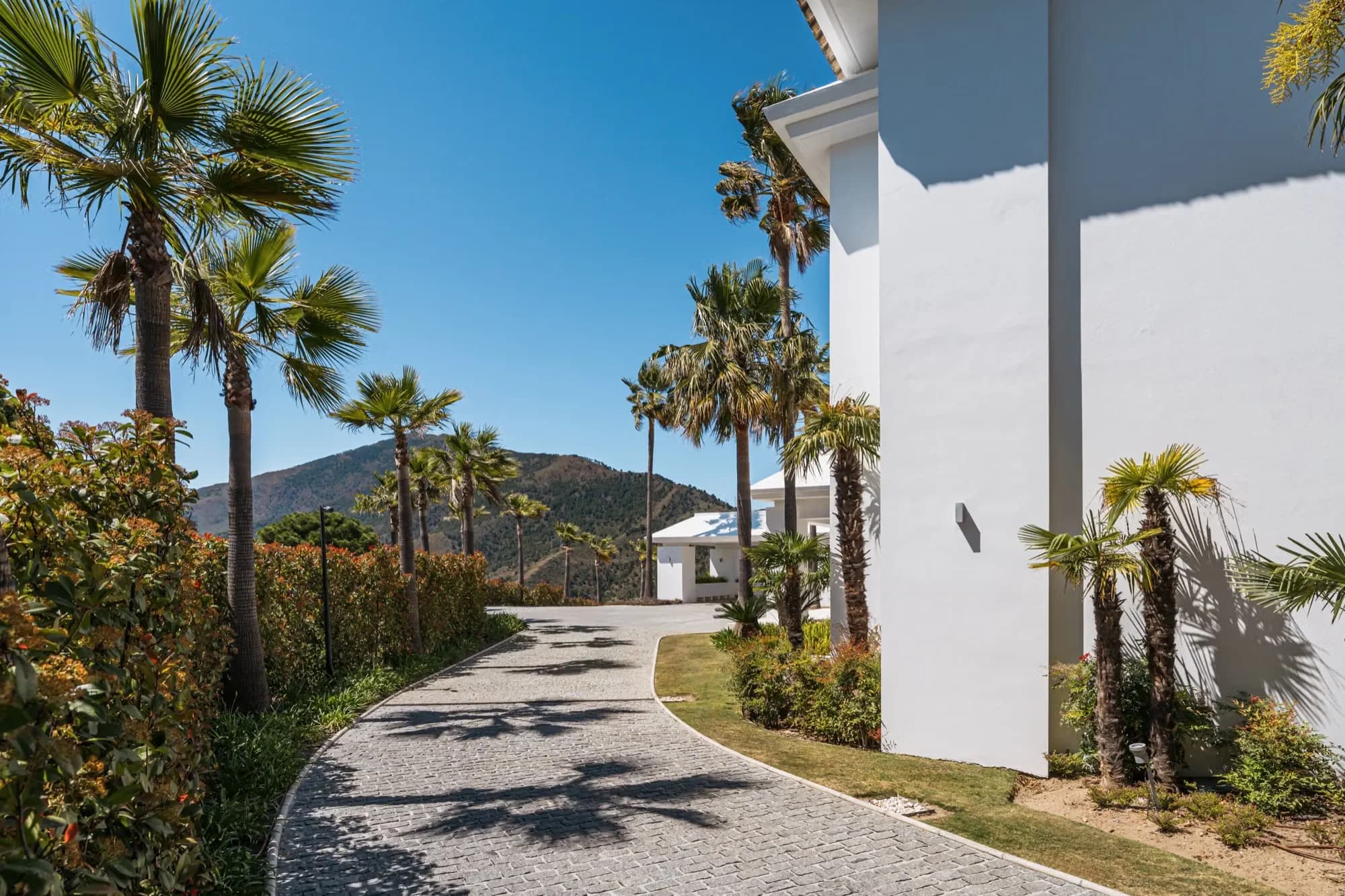 Palm-lined driveway of a white villa in the Marbella hills